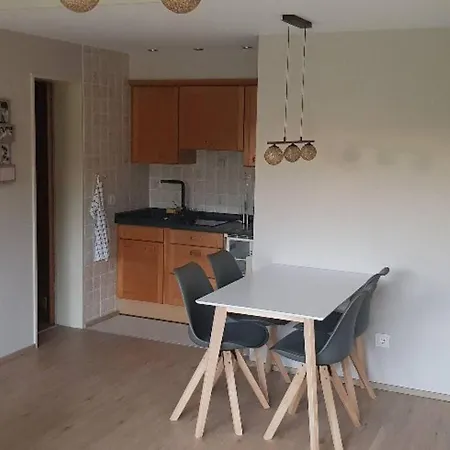 Appartement Wohlfuehloase In *