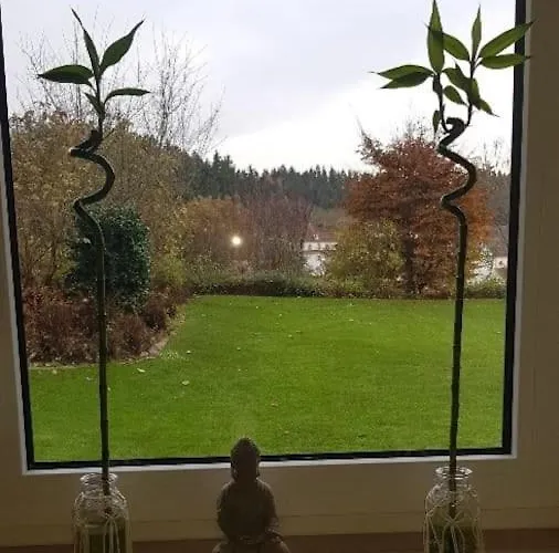 Wohlfuehloase In - Dreiweltencard Bad Dürrheim